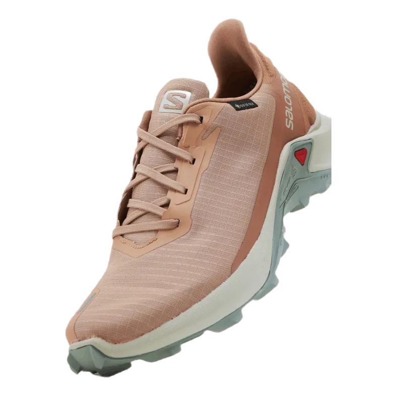 Alphacross 3 Gtx W Sirocco/rainy Day/mocha Mousse