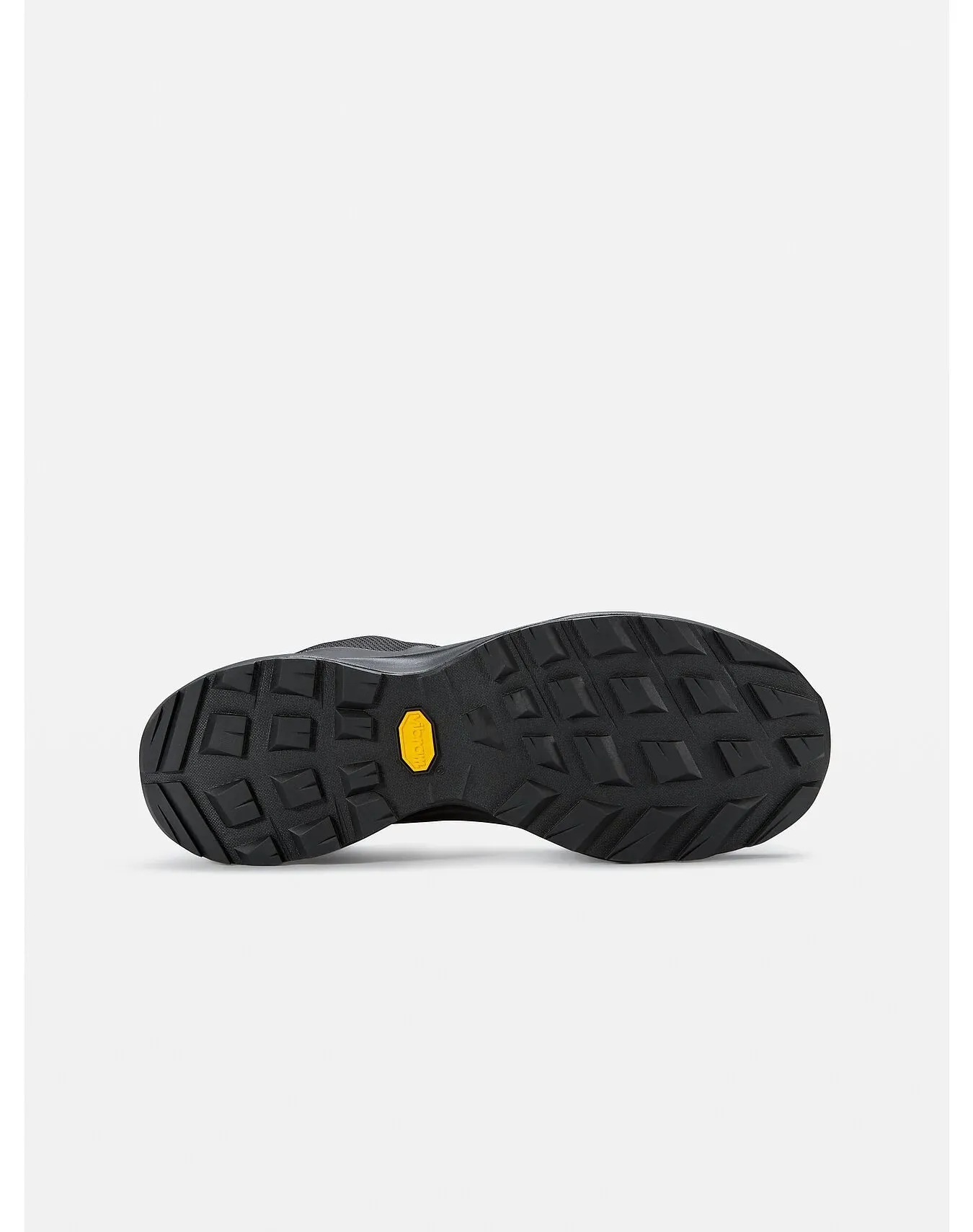 ARC'TERYX Men's Aerios FL 2 Gore-tex® Shoe