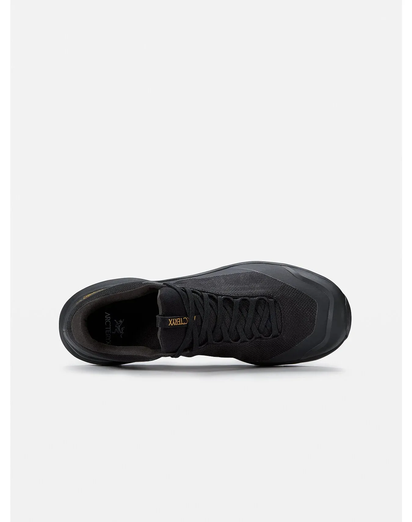 ARC'TERYX Men's Aerios FL 2 Gore-tex® Shoe