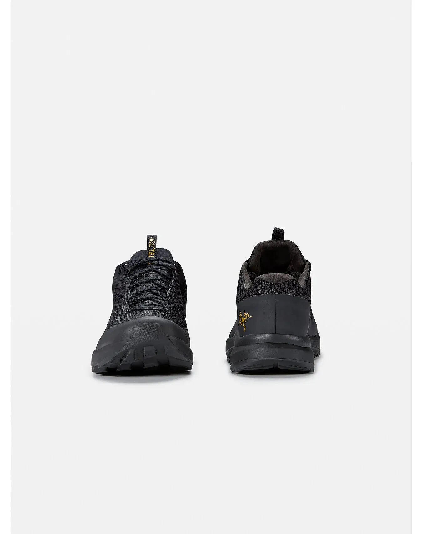 ARC'TERYX Men's Aerios FL 2 Gore-tex® Shoe