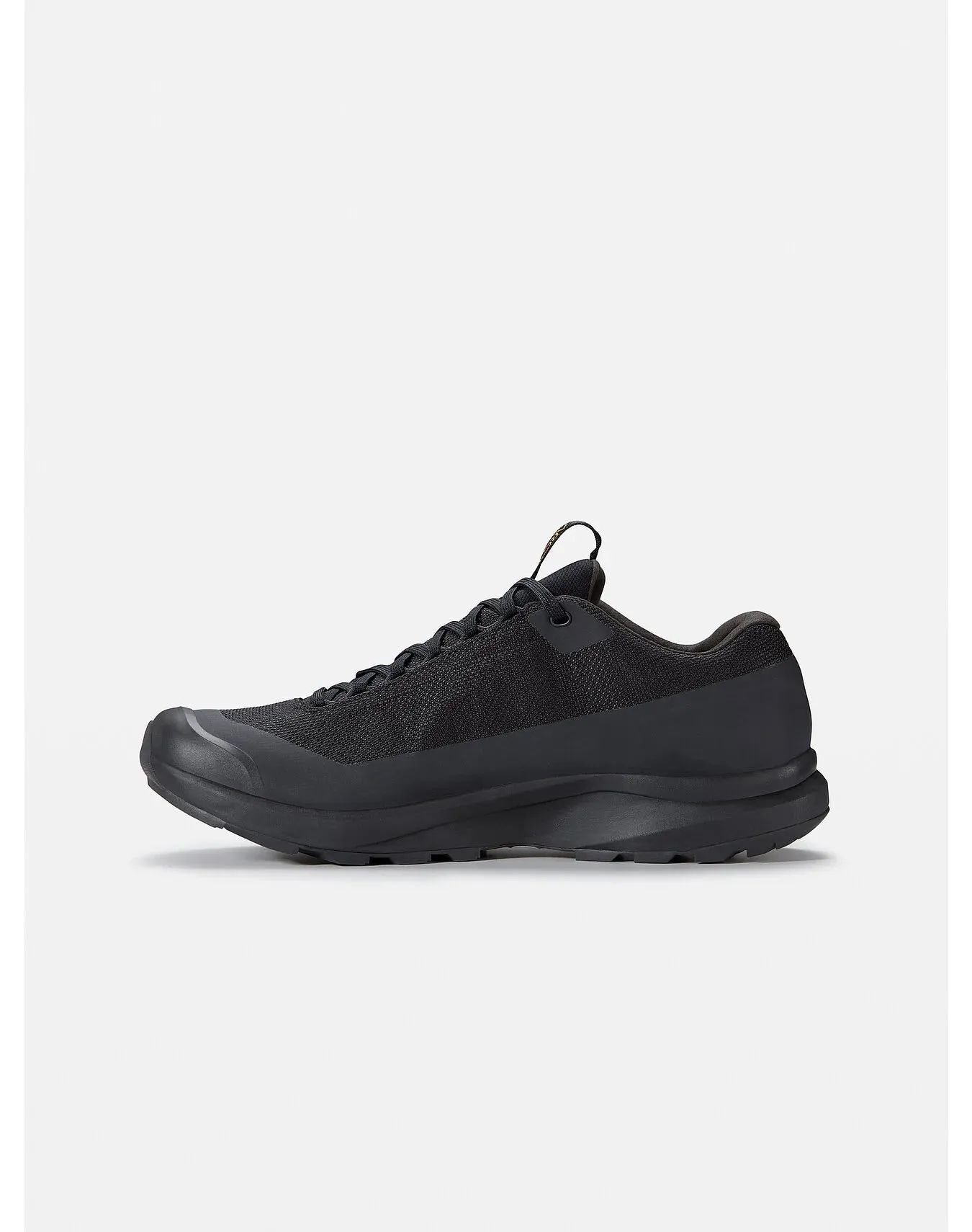 ARC'TERYX Men's Aerios FL 2 Gore-tex® Shoe